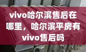 vivo哈尔滨售后在哪里，哈尔滨平房有vivo售后吗