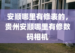 安顺哪里有修表的，贵州安顺哪里有修数码相机