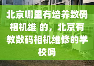 北京哪里有培养数码相机维 的，北京有教数码相机维修的学校吗