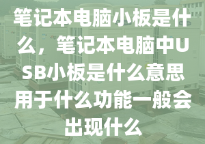 笔记本电脑小板是什么，笔记本电脑中USB小板是什么意思用于什么功能一般会出现什么