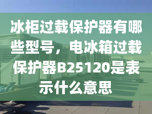 冰柜过载保护器有哪些型号，电冰箱过载保护器B25120是表示什么意思