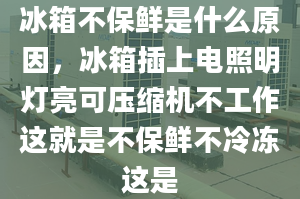 冰箱不保鲜是什么原因，冰箱插上电照明灯亮可压缩机不工作这就是不保鲜不冷冻这是