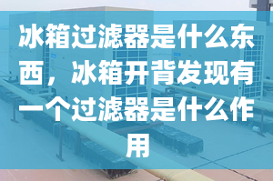 冰箱过滤器是什么东西，冰箱开背发现有一个过滤器是什么作用