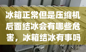 冰箱正常但是压缩机后面结冰会有哪些危害，冰箱结冰有事吗