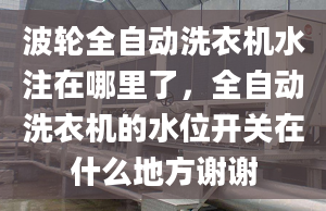 波轮全自动洗衣机水注在哪里了，全自动洗衣机的水位开关在什么地方谢谢