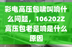 彩电高压包啸叫响什么问题，106202Z高压包老是响是什么原因