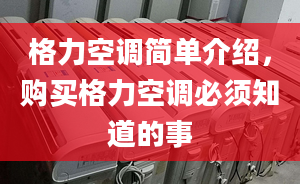 格力空调简单介绍，购买格力空调必须知道的事