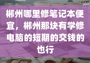 郴州哪里修笔记本便宜，郴州那块有学修电脑的短期的交钱的也行