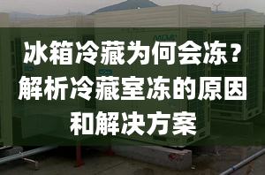 冰箱冷藏为何会冻？解析冷藏室冻的原因和解决方案