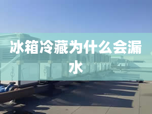 冰箱冷藏为什么会漏水