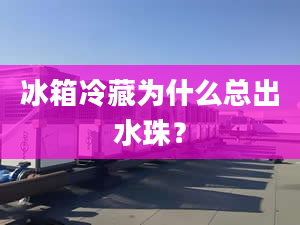 冰箱冷藏为什么总出水珠？