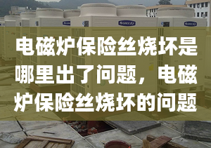 电磁炉保险丝烧坏是哪里出了问题，电磁炉保险丝烧坏的问题