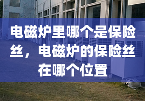 电磁炉里哪个是保险丝，电磁炉的保险丝在哪个位置