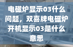 电磁炉显示03什么问题，双喜牌电磁炉开机显示03是什么意思