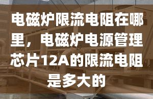 电磁炉限流电阻在哪里，电磁炉电源管理芯片12A的限流电阻是多大的