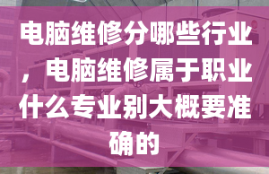 电脑维修分哪些行业，电脑维修属于职业什么专业别大概要准确的