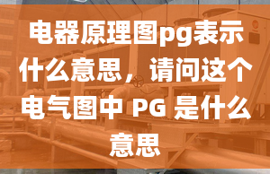 电器原理图pg表示什么意思，请问这个电气图中 PG 是什么意思