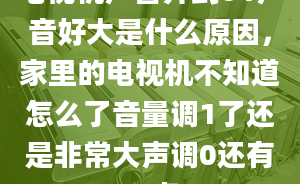 电视机声音开到01声音好大是什么原因，家里的电视机不知道怎么了音量调1了还是非常大声调0还有一点