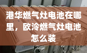 港华燃气灶电池在哪里，欧泠燃气灶电池怎么装