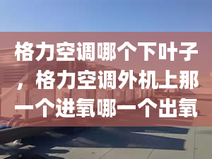 格力空调哪个下叶子，格力空调外机上那一个进氧哪一个出氧