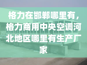 格力在邯郸哪里有，格力商用中央空调河北地区哪里有生产厂家