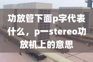 功放管下面p字代表什么，p一stereo功放机上的意思