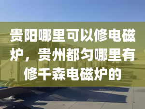 贵阳哪里可以修电磁炉，贵州都匀哪里有修千森电磁炉的