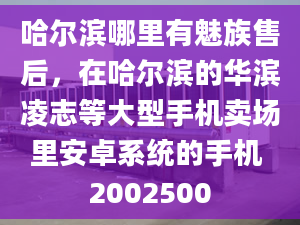 哈尔滨哪里有魅族售后，在哈尔滨的华滨凌志等大型手机卖场里安卓系统的手机 2002500