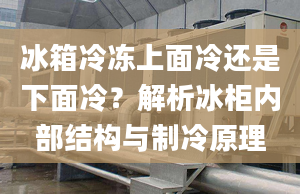 冰箱冷冻上面冷还是下面冷？解析冰柜内部结构与制冷原理