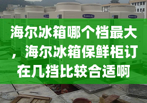 海尔冰箱哪个档最大，海尔冰箱保鲜柜订在几挡比较合适啊