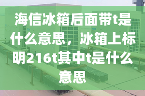 海信冰箱后面带t是什么意思，冰箱上标明216t其中t是什么意思