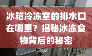 冰箱冷冻室的排水口在哪里？揭秘冰冻食物背后的秘密