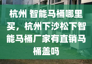 杭州 智能马桶哪里买，杭州下沙松下智能马桶厂家有直销马桶盖吗