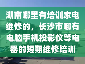 湖南哪里有培训家电维修的，长沙市哪有电脑手机投影仪等电器的短期维修培训