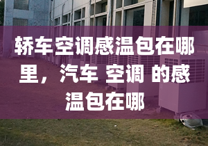 轿车空调感温包在哪里，汽车 空调 的感温包在哪