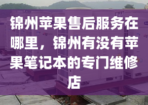 锦州苹果售后服务在哪里，锦州有没有苹果笔记本的专门维修店