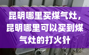 昆明哪里买煤气灶，昆明哪里可以买到煤气灶的打火针