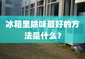 冰箱里除味最好的方法是什么？