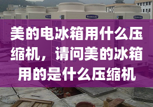 美的电冰箱用什么压缩机，请问美的冰箱用的是什么压缩机