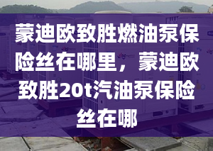 蒙迪欧致胜燃油泵保险丝在哪里，蒙迪欧致胜20t汽油泵保险丝在哪