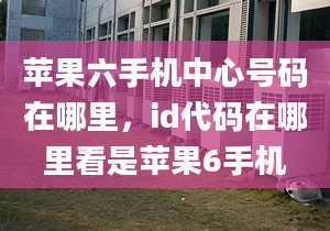 苹果六手机中心号码在哪里，id代码在哪里看是苹果6手机