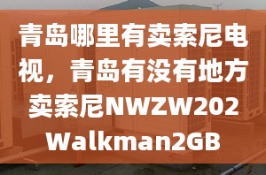 青岛哪里有卖索尼电视，青岛有没有地方卖索尼NWZW202Walkman2GB