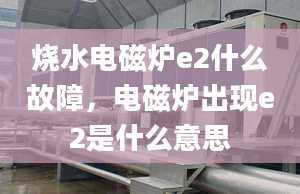 烧水电磁炉e2什么故障，电磁炉出现e2是什么意思