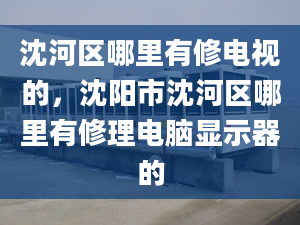 沈河区哪里有修电视的，沈阳市沈河区哪里有修理电脑显示器的