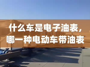 什么车是电子油表，哪一种电动车带油表