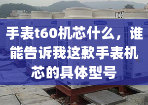 手表t60机芯什么，谁能告诉我这款手表机芯的具体型号