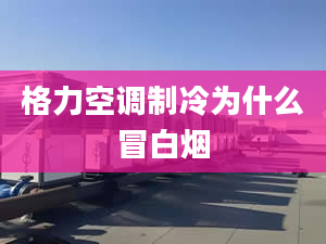 格力空调制冷为什么冒白烟