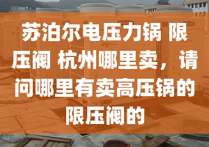 苏泊尔电压力锅 限压阀 杭州哪里卖，请问哪里有卖高压锅的限压阀的