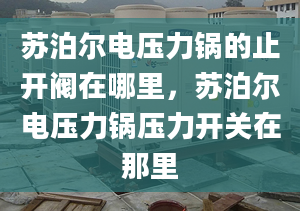 苏泊尔电压力锅的止开阀在哪里，苏泊尔电压力锅压力开关在那里