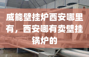 威能壁挂炉西安哪里有，西安哪有卖壁挂锅炉的